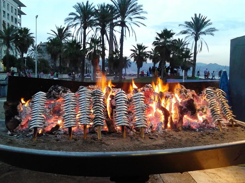 Pension Los Faroles Fuengirola 0*,